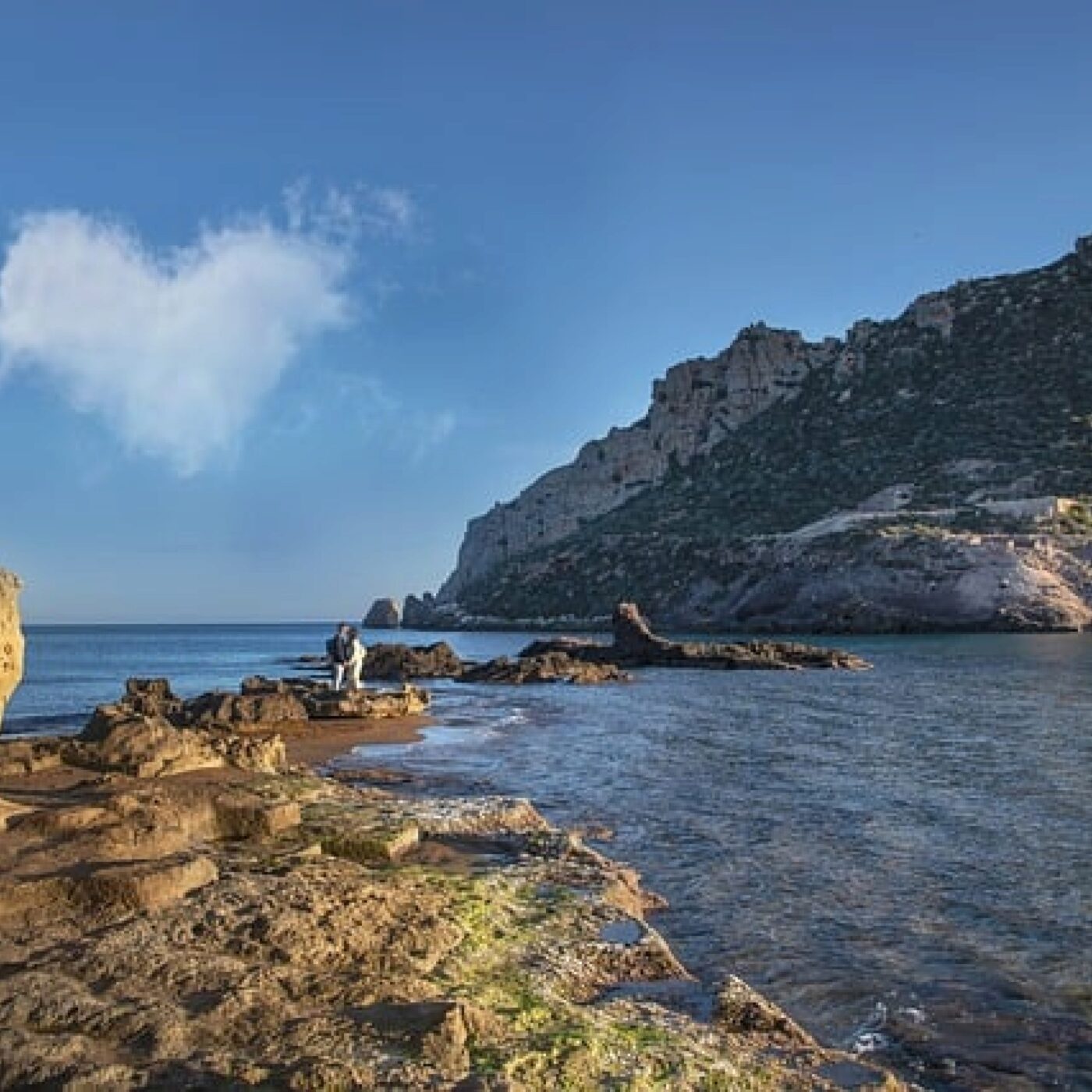 Le Téléphone du dimanche