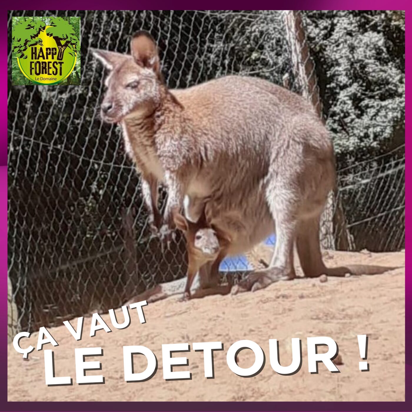 26-01 Olivier Tabanon d'Happy Forest sur 47FM