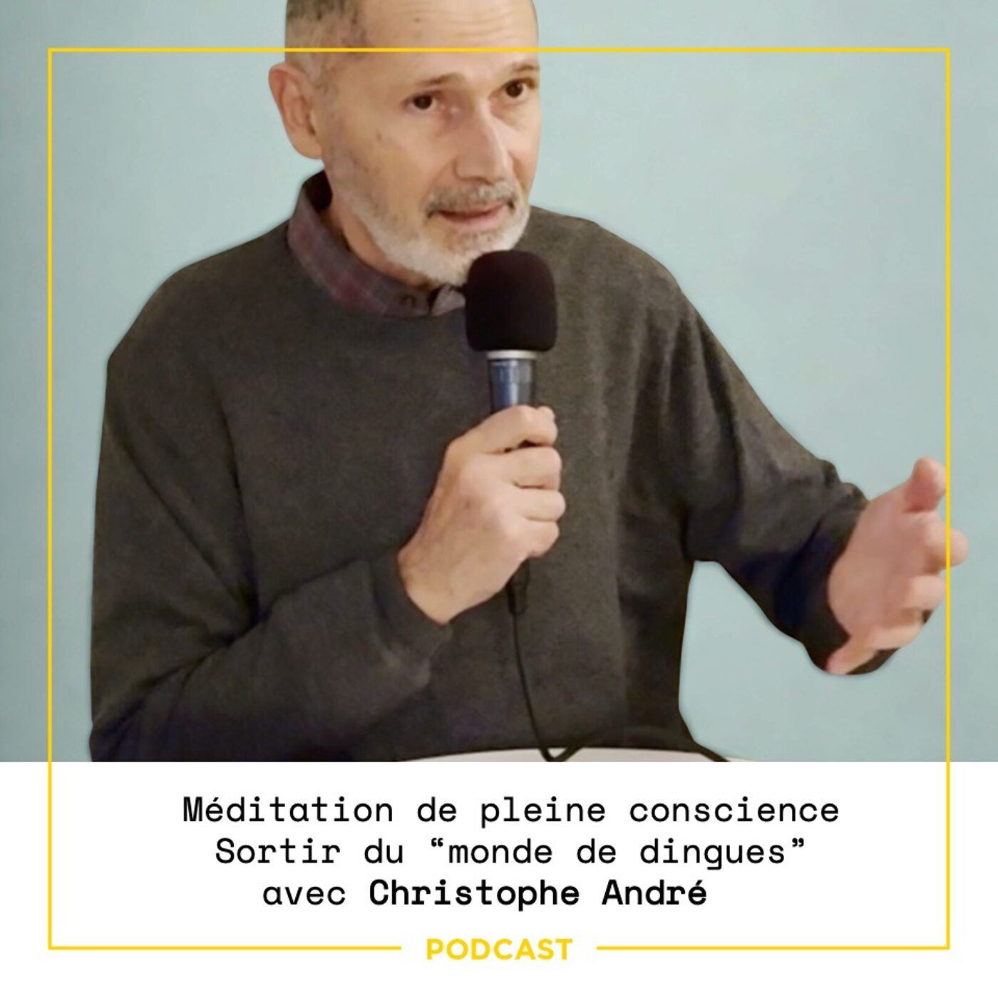 episode cover EP114 — Méditation de pleine conscience : sortir du “monde de dingues” avec Christophe André	 