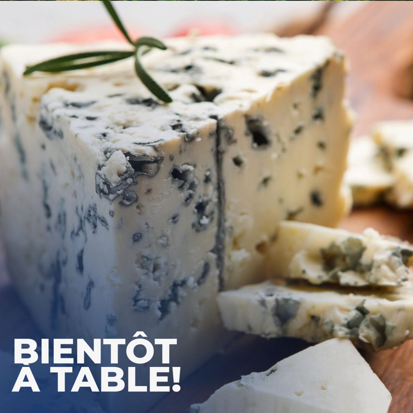 La passion du moisi!