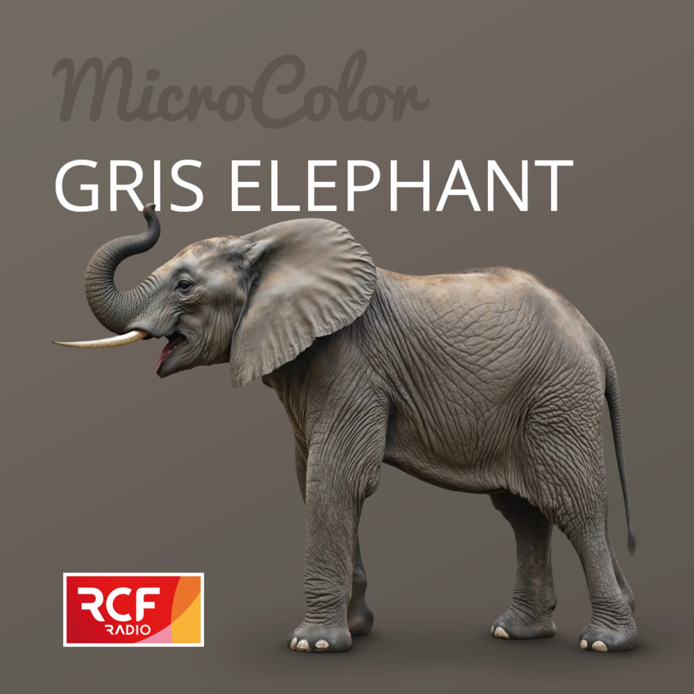 Gris éléphant episode artwork