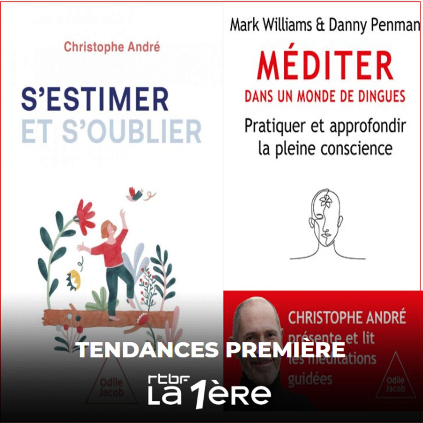 Podcasts et livres autour de la méditation. Avec Christophe André Podcasts et livres autour de la méditation. Avec Christophe André