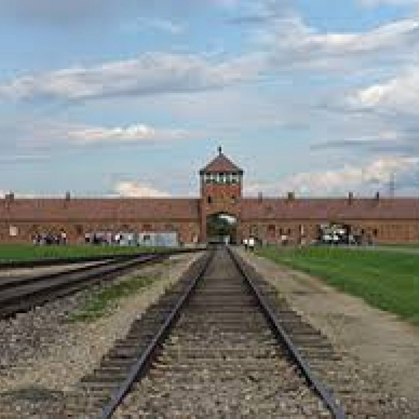 "Hier gibt es Blaubeeren " 80 ans libération d'Auschwitz episode artwork