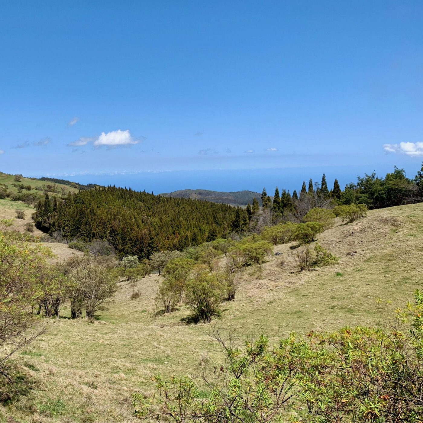 Ile de la Réunion episode artwork