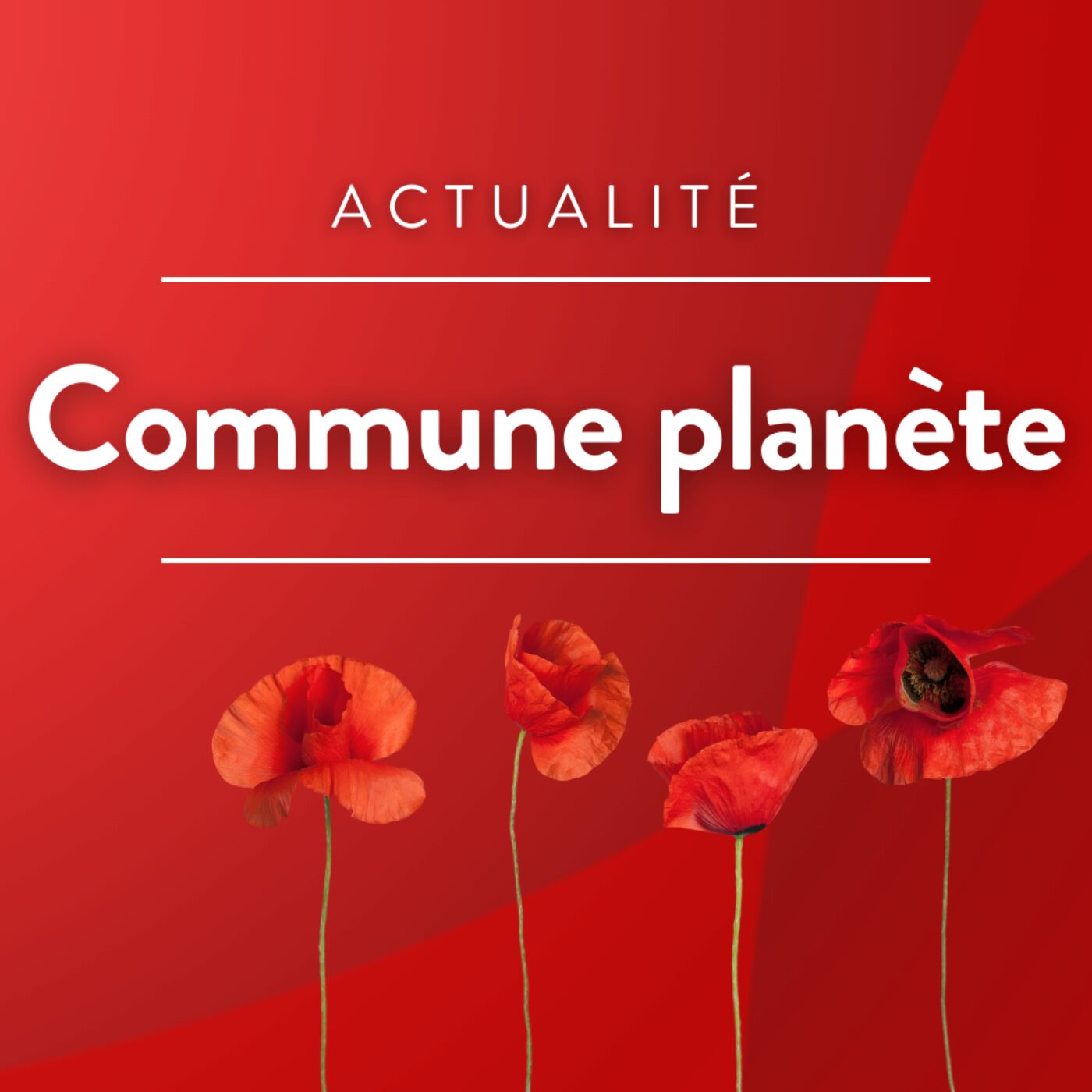 Nettoyer la planète avec le World Cleanup Day episode artwork