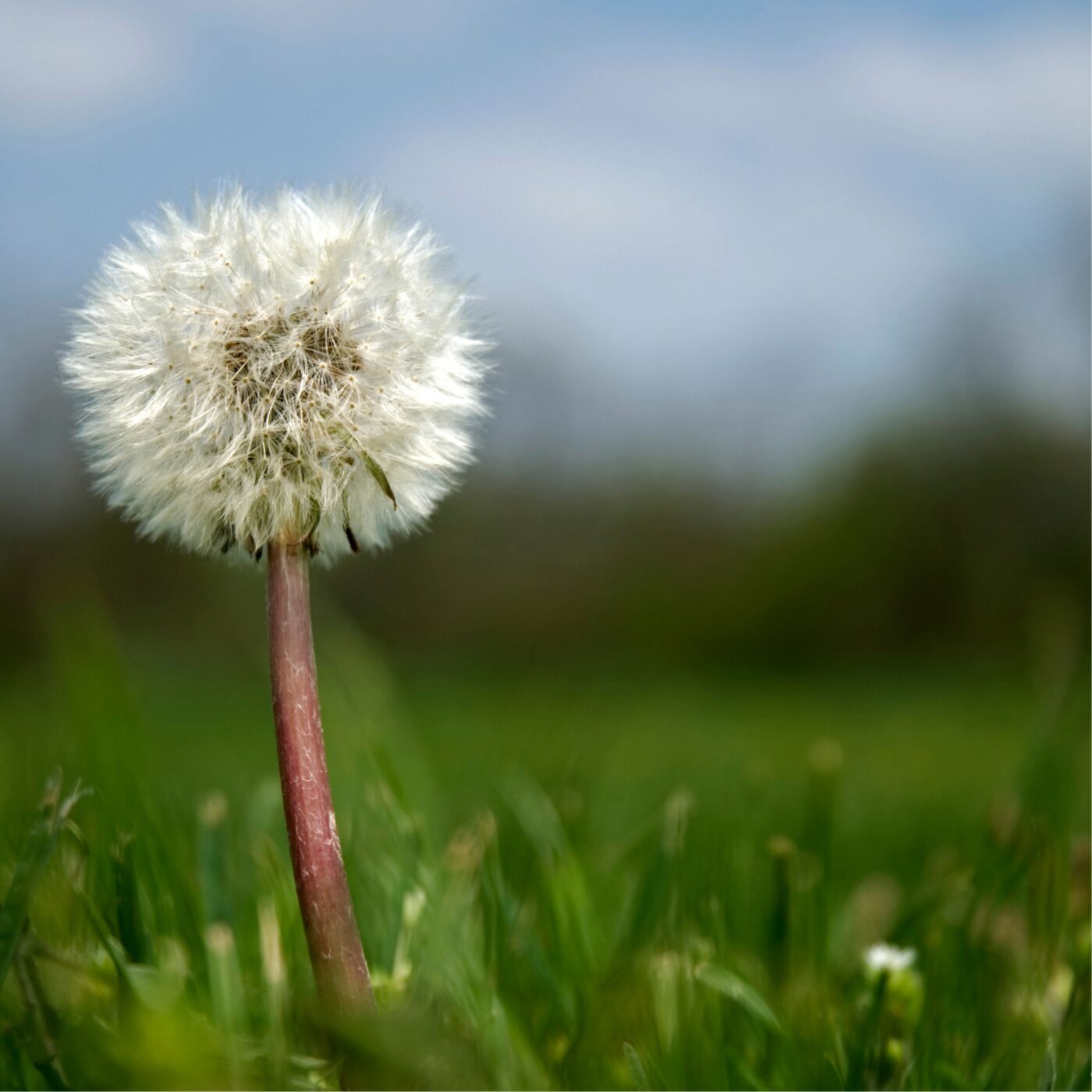 Méditation chrétienne · RCF Alsace