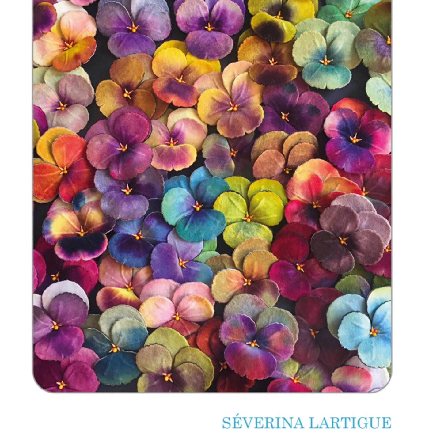 N°252. Séverina Lartigue. Cent et un pétales pour une rose. Klincksieck. episode artwork