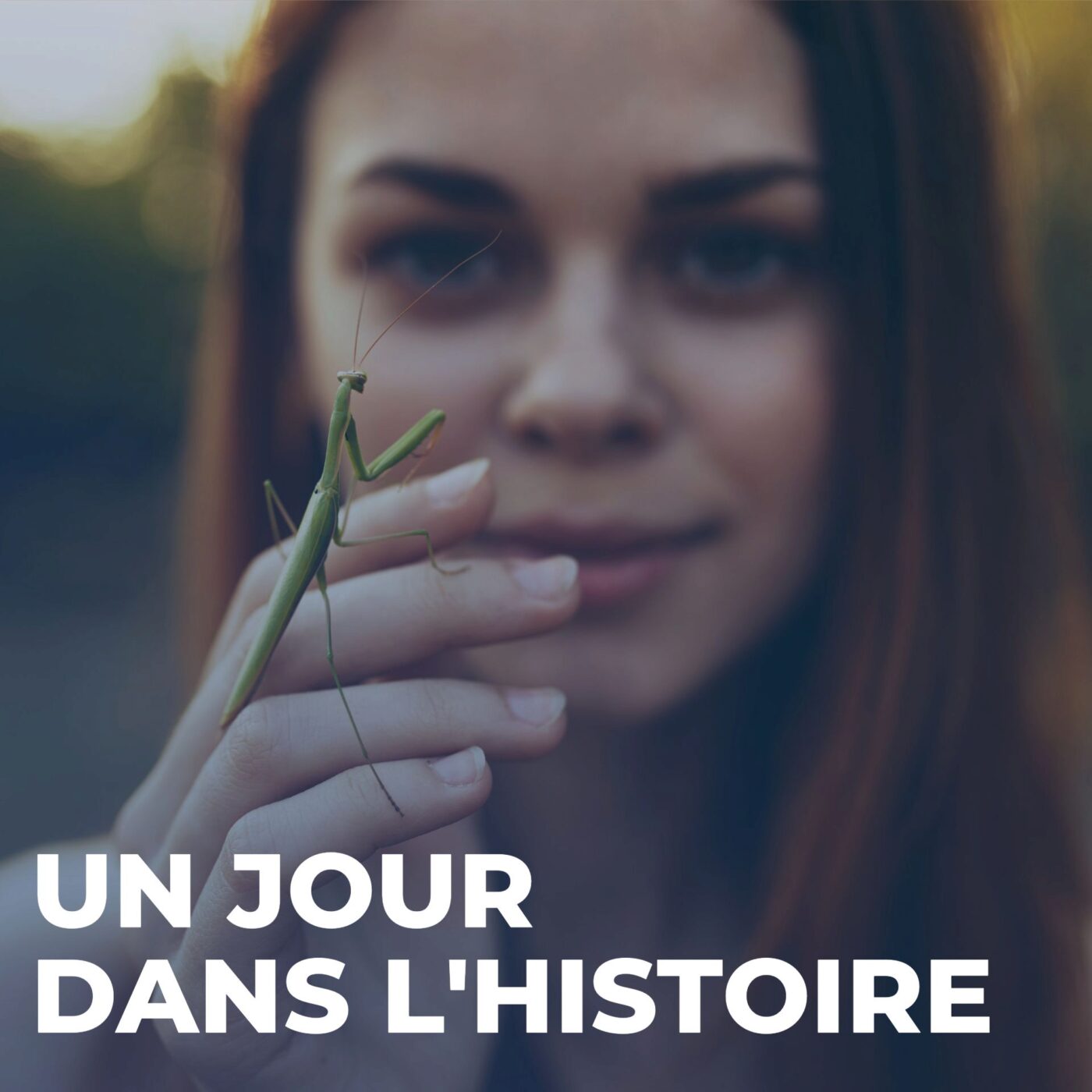 Les humains, les insectes et le monde de demain