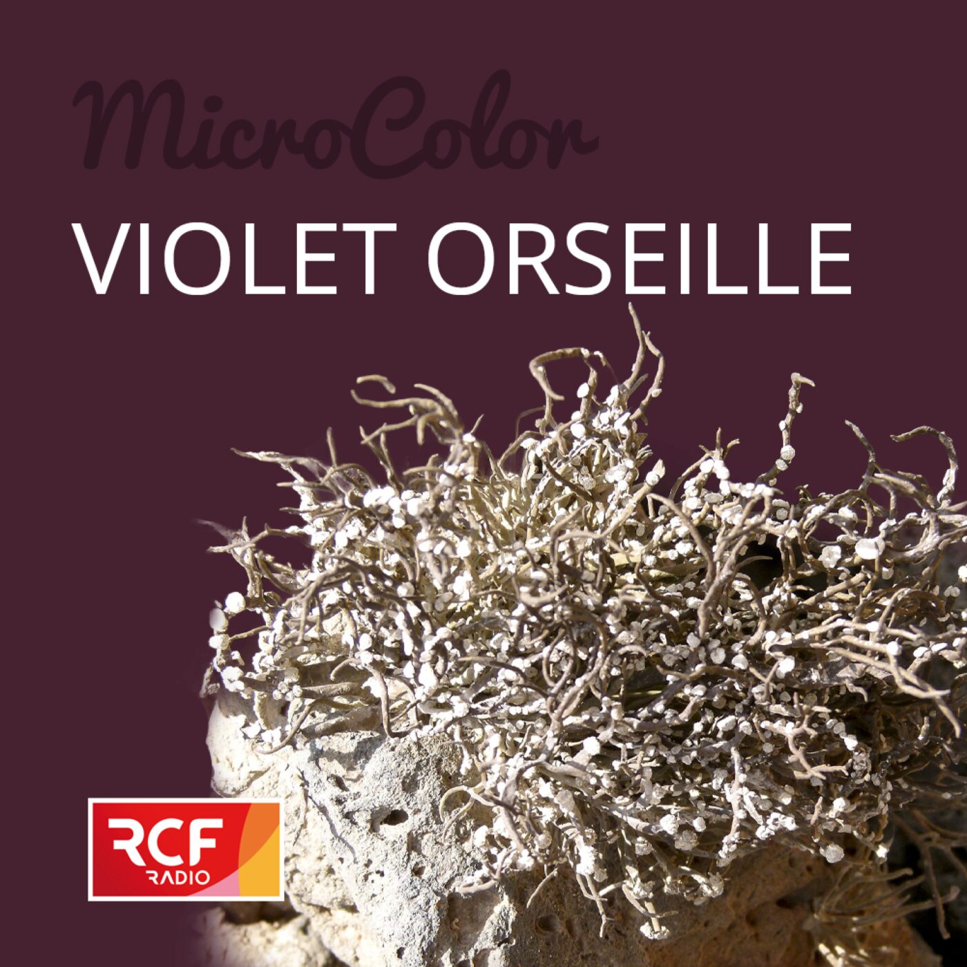 Violet orseille episode artwork
