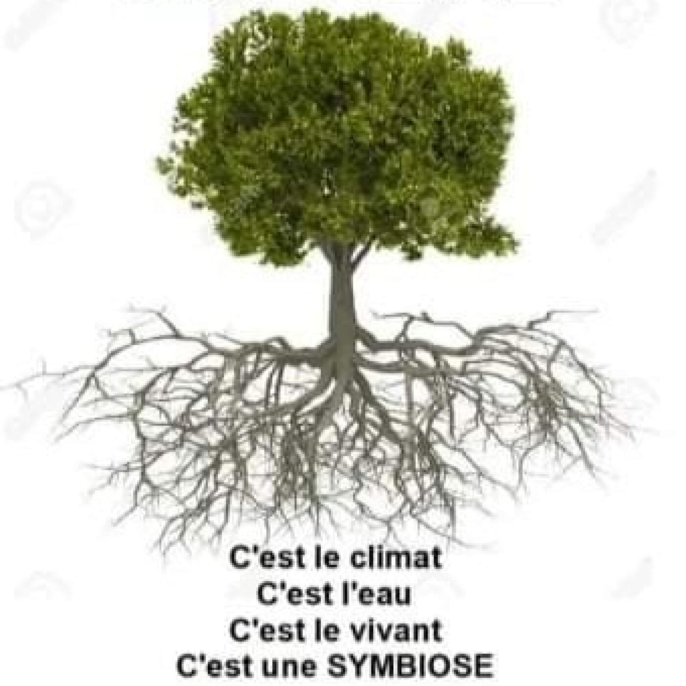 Passeurs d\'humanité