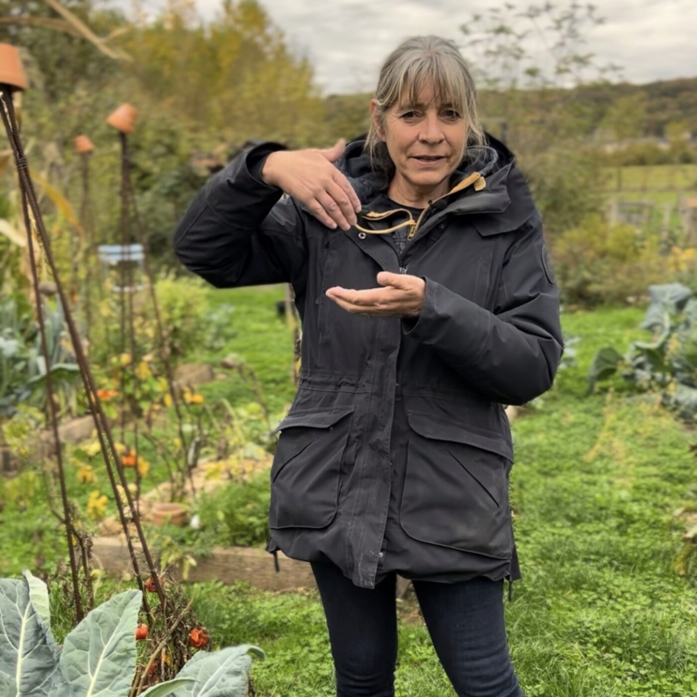 Tendre vers l'autonomie avec les potagers en carrés à la Française episode artwork