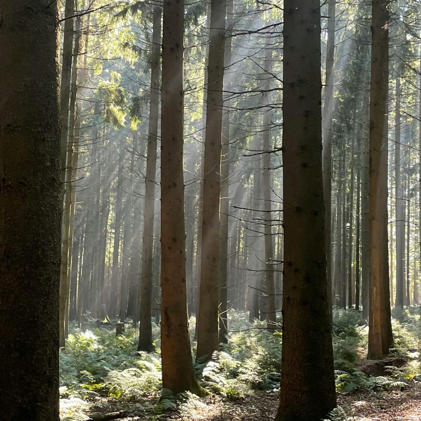 Halte spirituelle