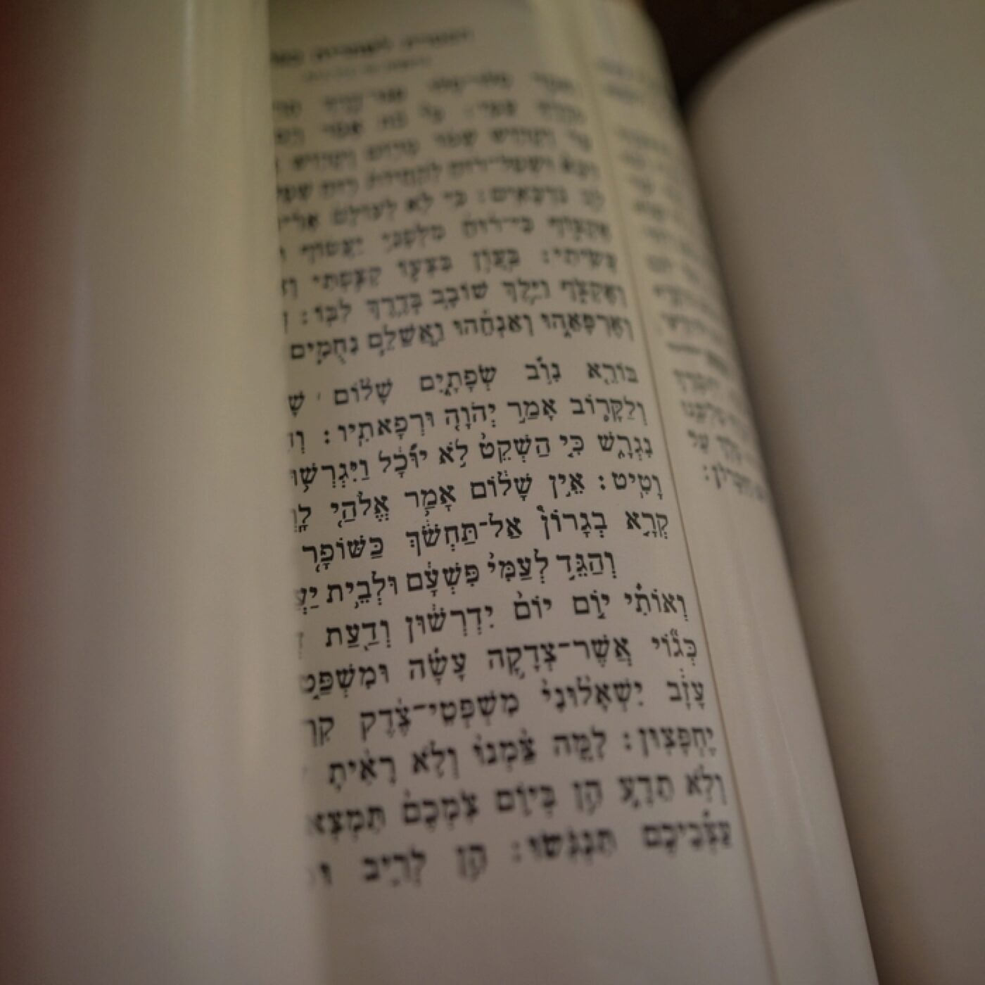 Dimanche de la Parole de Dieu : "Renforcer les liens avec la communauté juive"