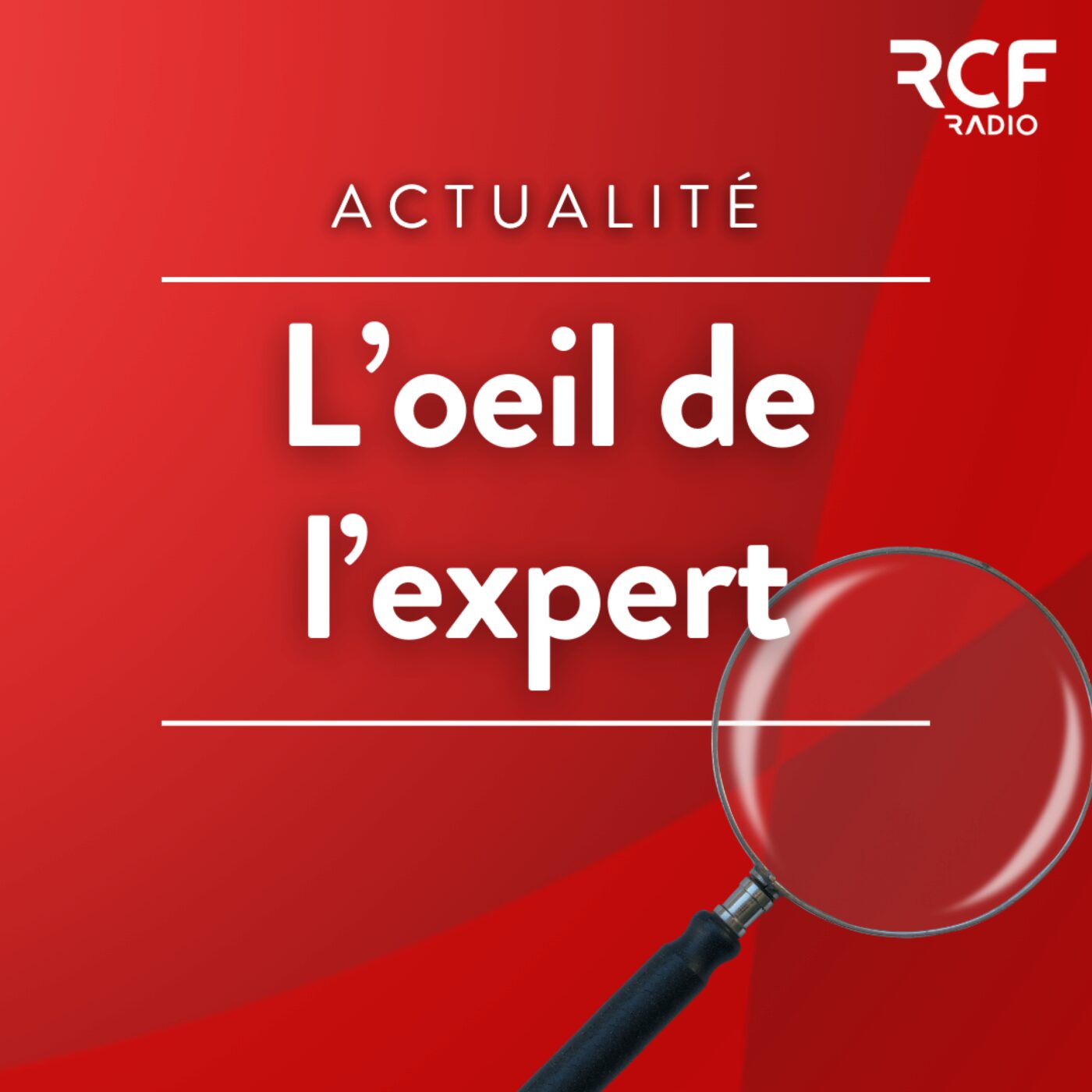 L\'œil de l\'expert
