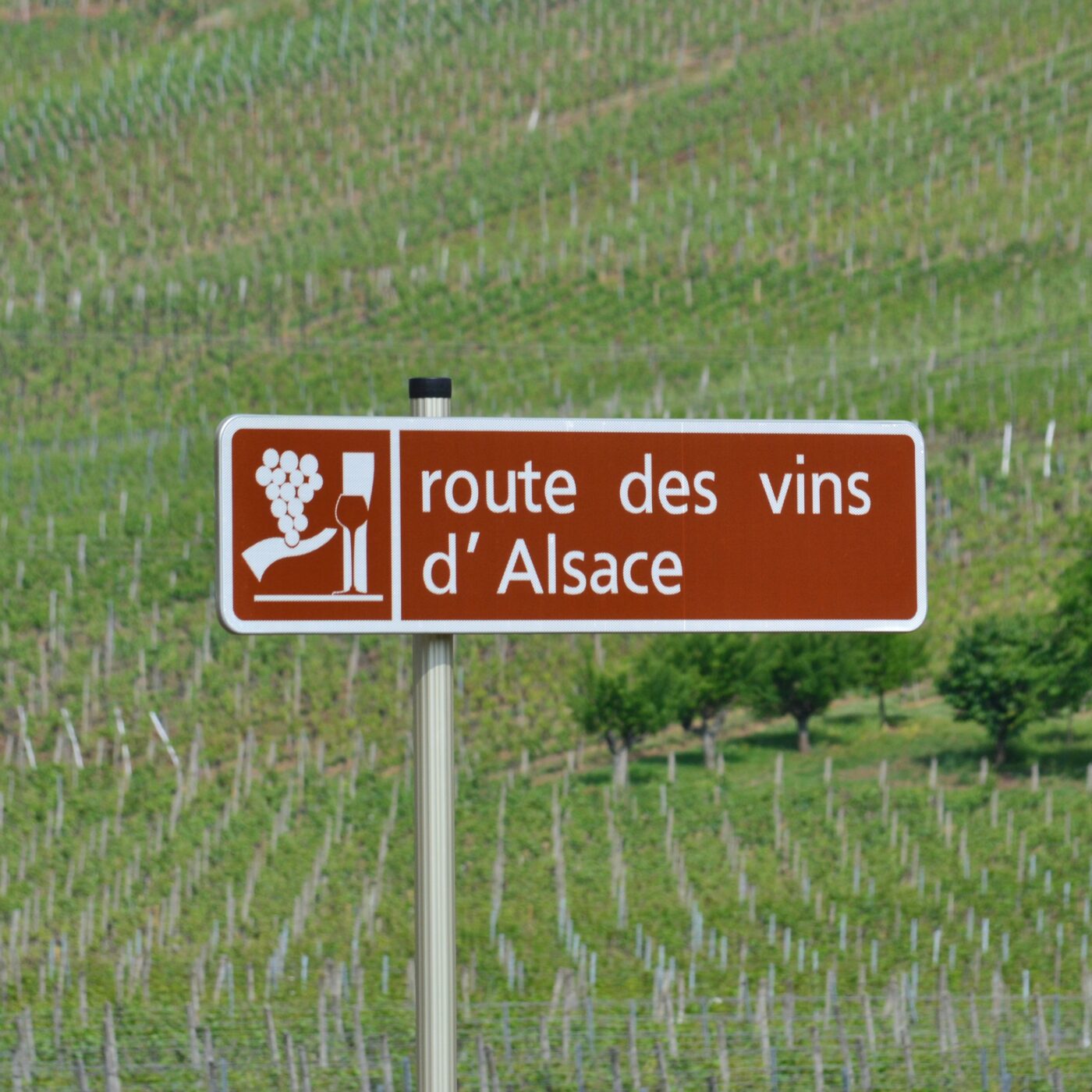 La route des vins d’Alsace fête ses 70 ans episode artwork