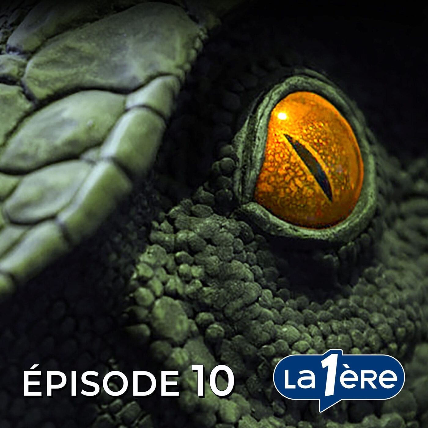 Episode 10: Quelles nouvelles créatures peuvent encore découvrir les cryptozoologues?