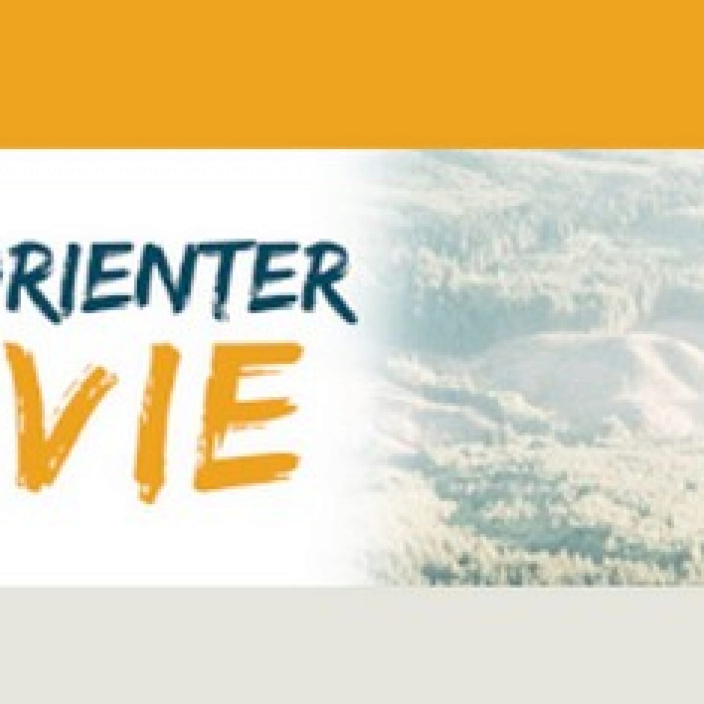 L\'Agenda du week-end