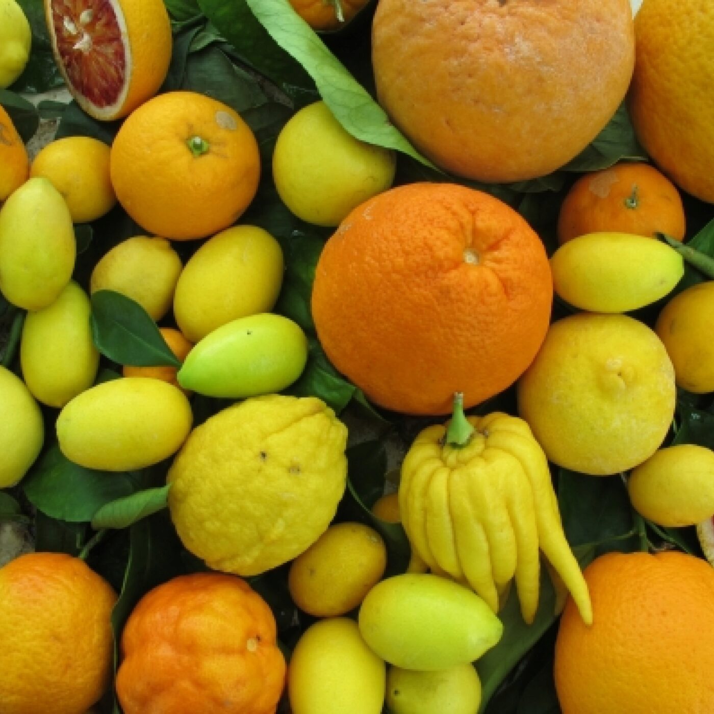 Détours Gourmands