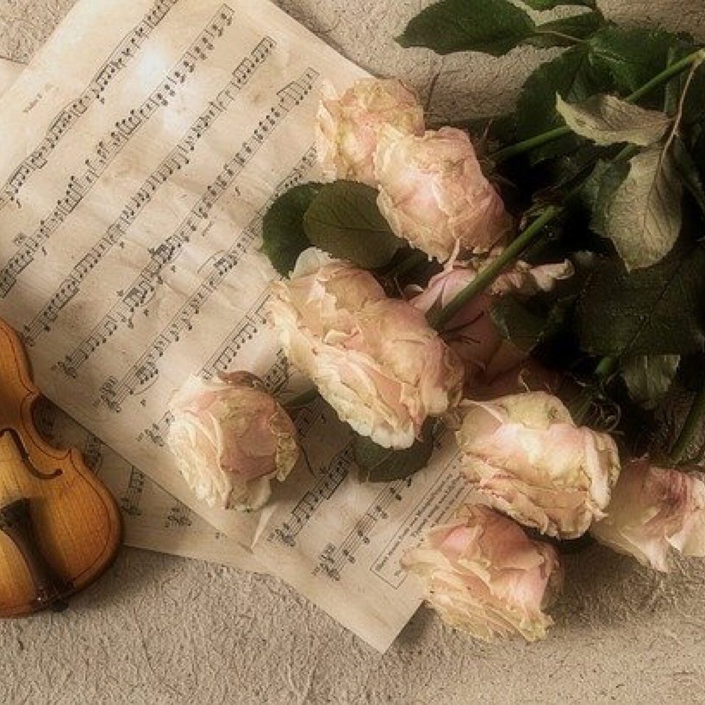 Festival Classique