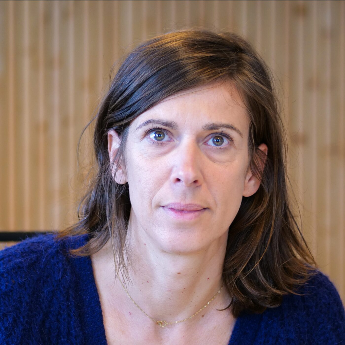 Sandrine Runel (PS) l'assure : "Jean-Michel Aulas ne sera pas le maire de Lyon" episode artwork