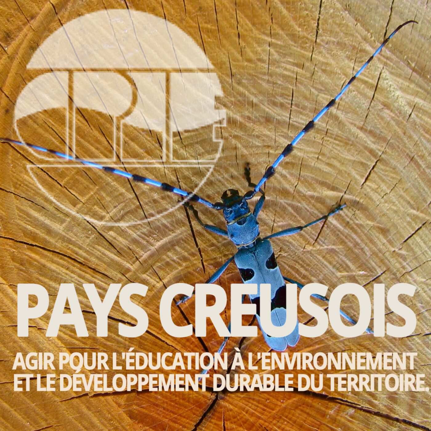 Les petites bêtes de l'eau episode artwork