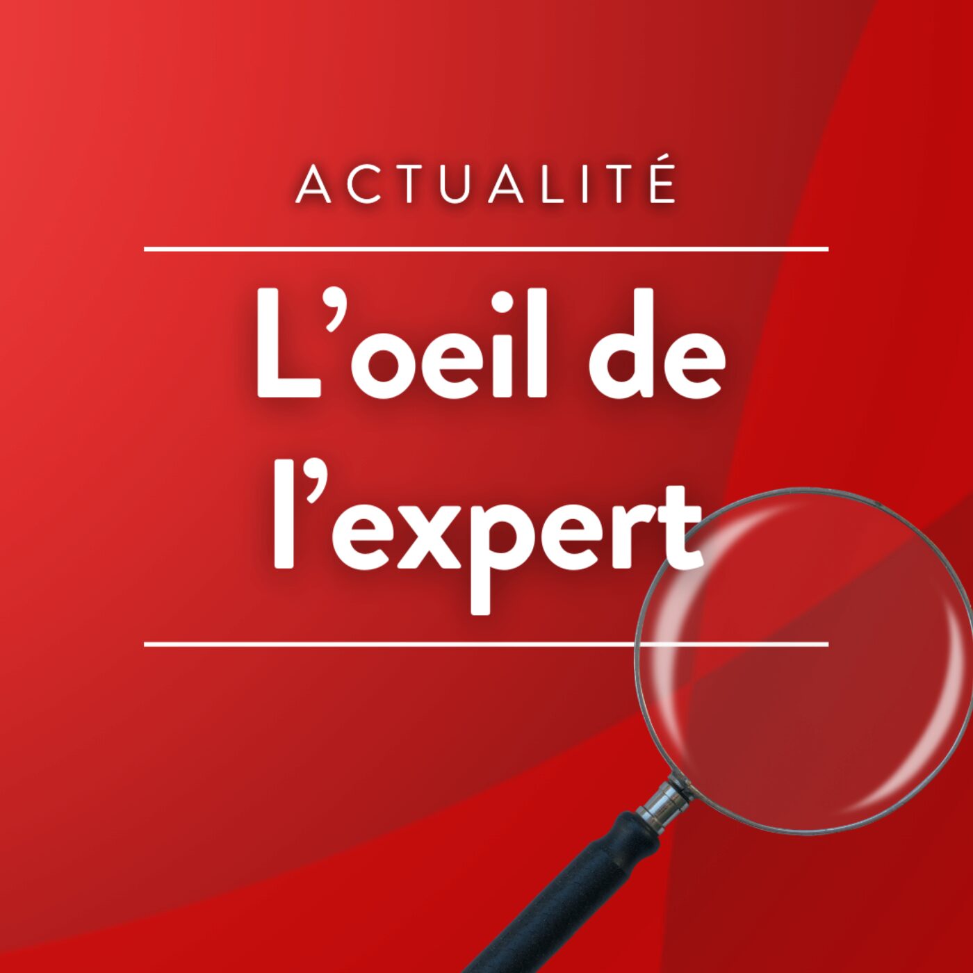 L\'œil de l\'expert