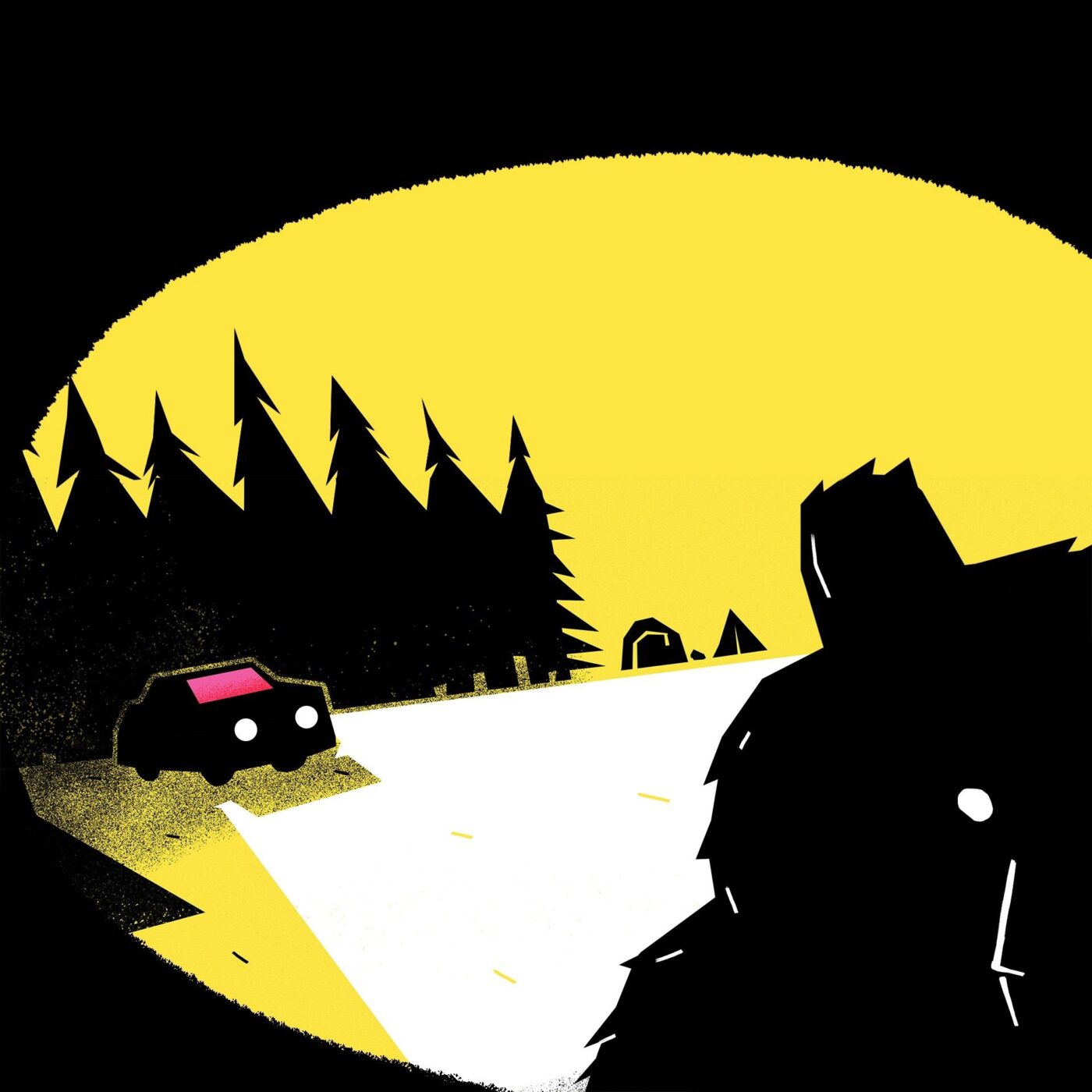 Episode 2/15 : Anaïs, l’ombre des Carpates