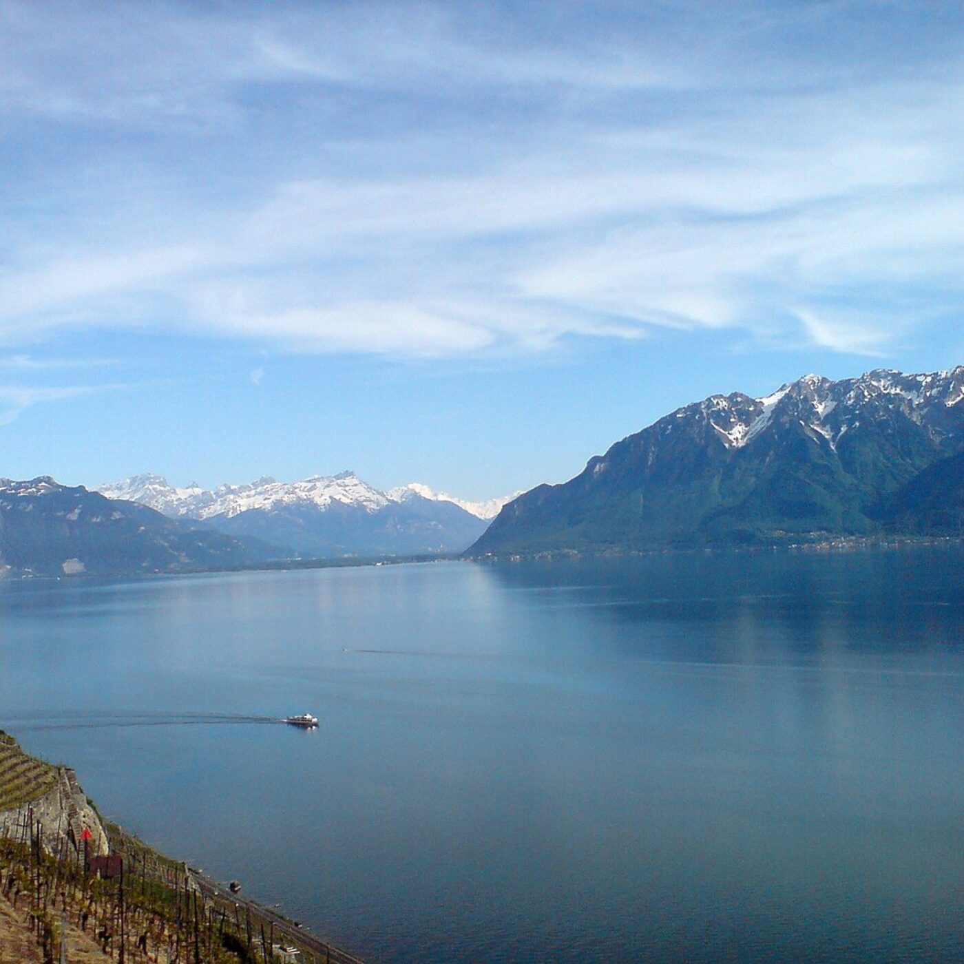 "Un nouveau lac" : le Léman se réchauffe, de nouvelles espèces apparaissent episode artwork