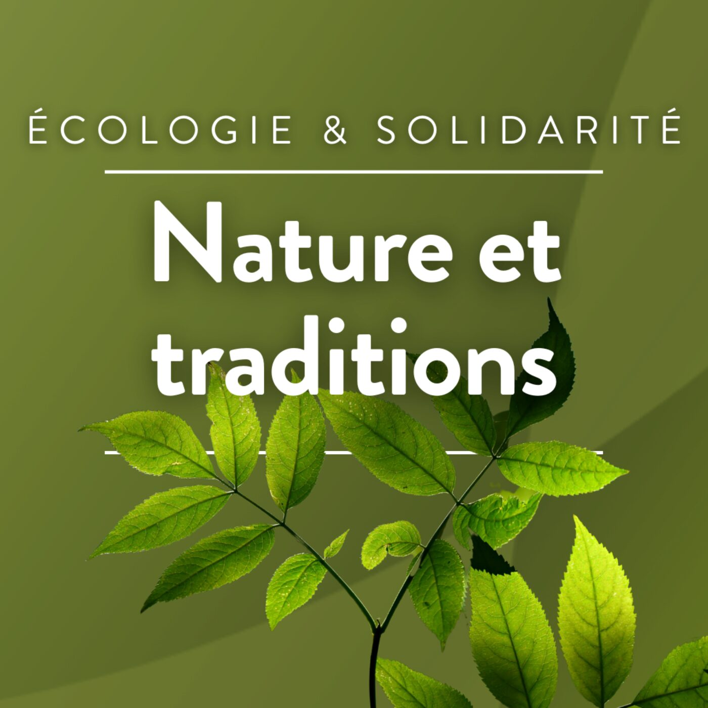 La Fédération des Associations de Chasseurs aux Chiens Courants episode artwork