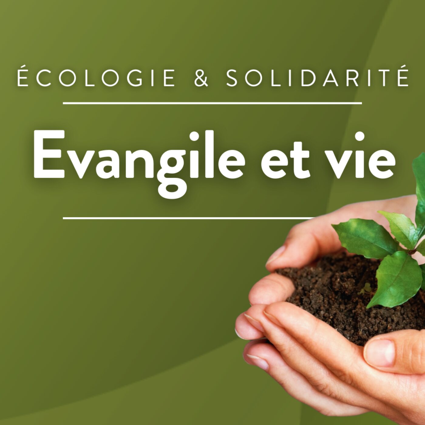 Le programme du Laudato Si Summer Camp 2025 episode artwork