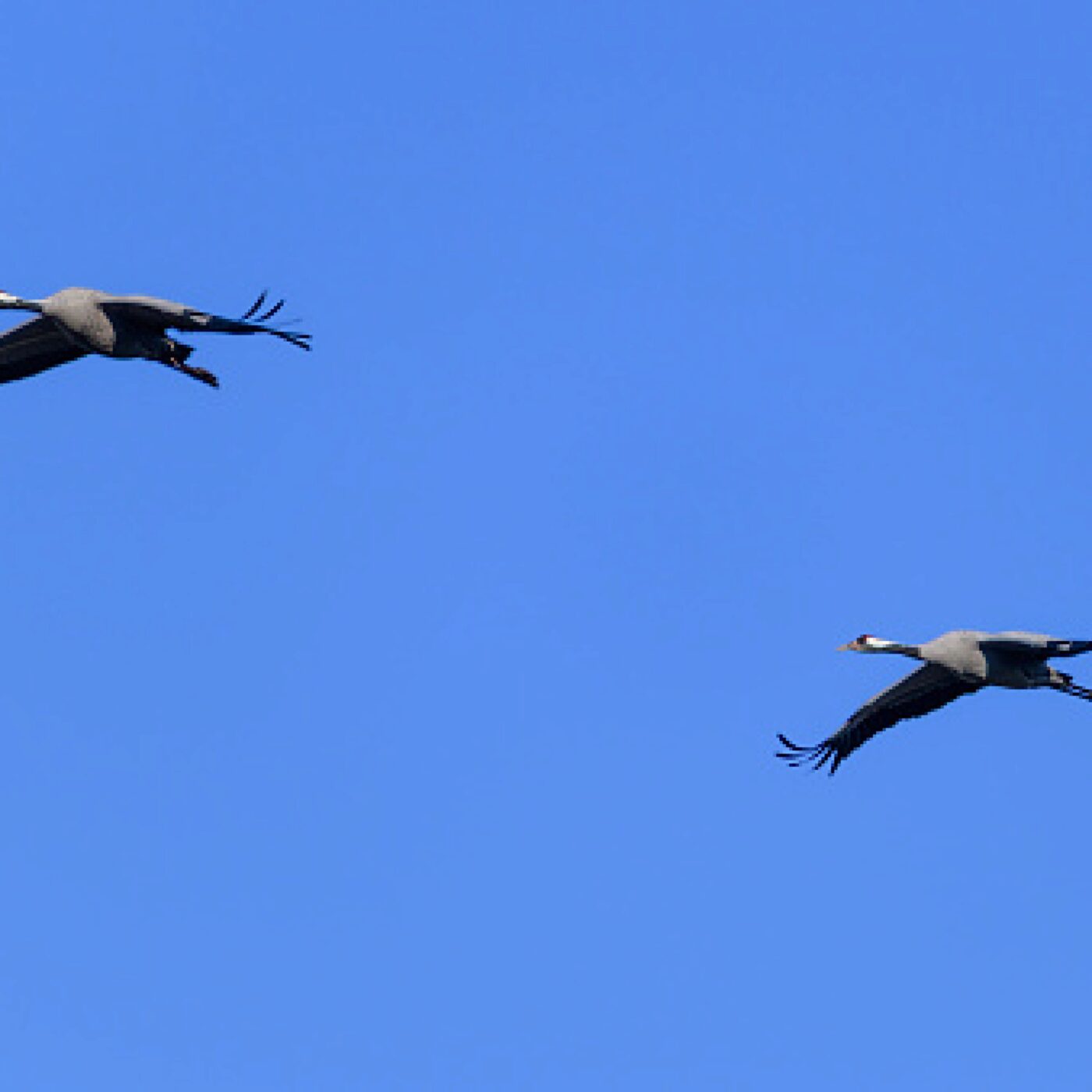 Le journal régional - RCF en Lorraine