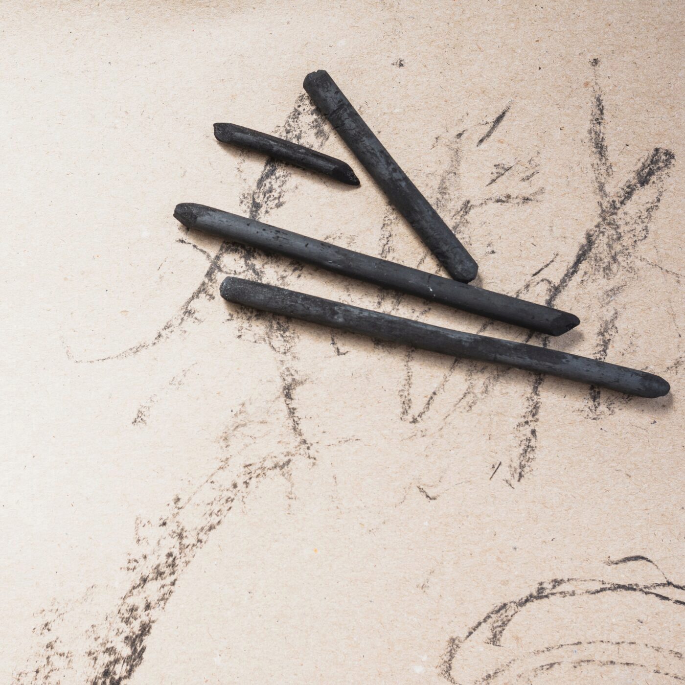 Jardiner avec les enfants, avec Terre Vivante