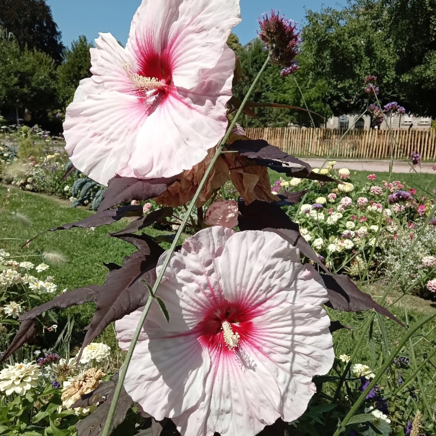 À voix haute · RCF Alsace