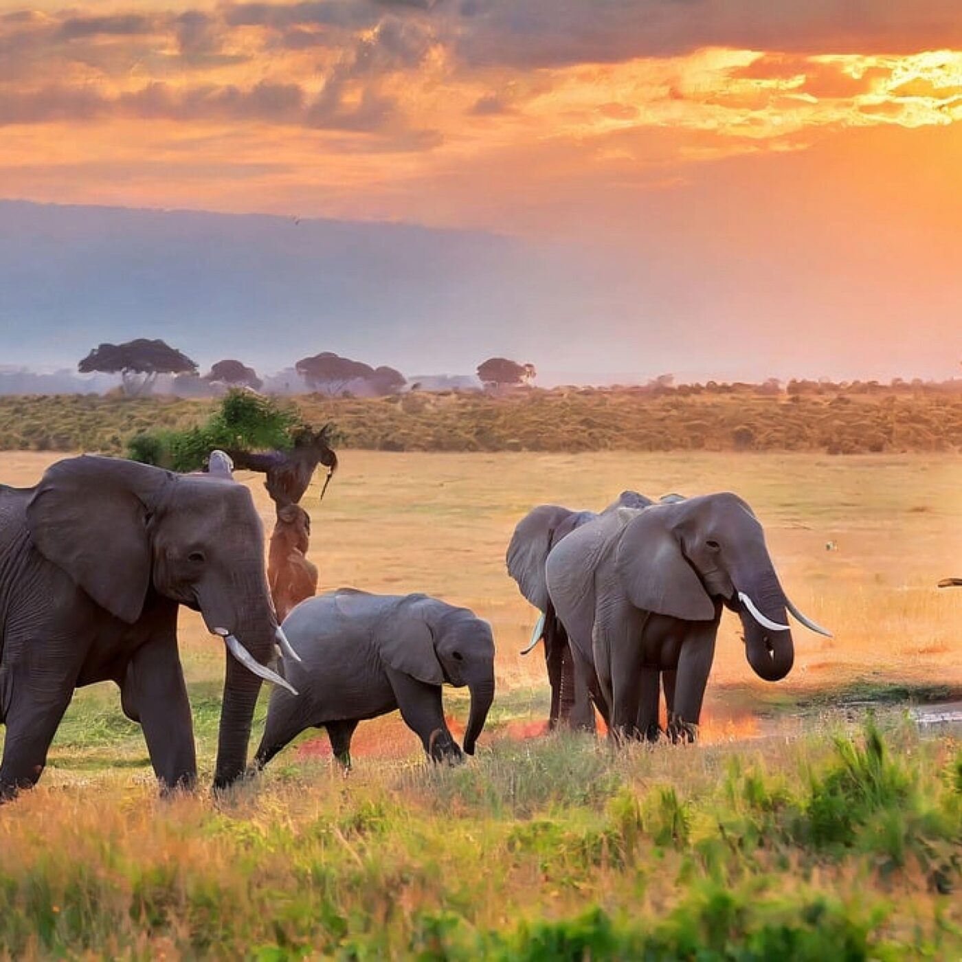 Science en conscience · RCF Alsace