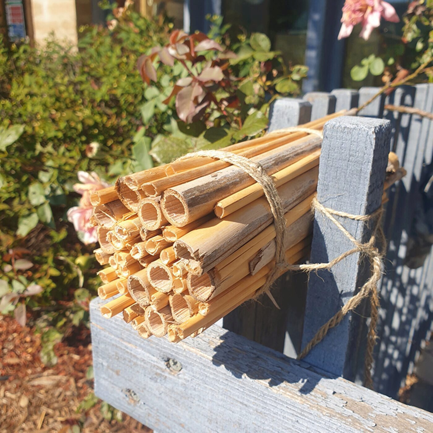 Jardiner avec les enfants, avec Terre Vivante