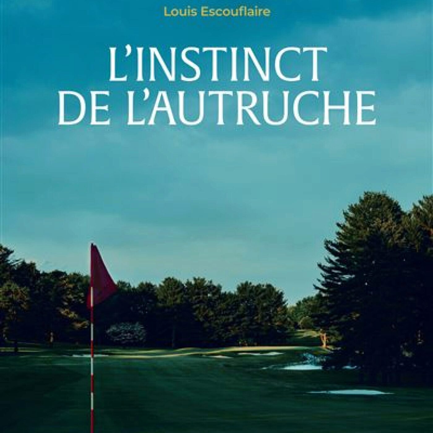 Louis Escouflaire pour son 1er roman " L'instinct de l'autruche" (ed. Empaj) episode artwork