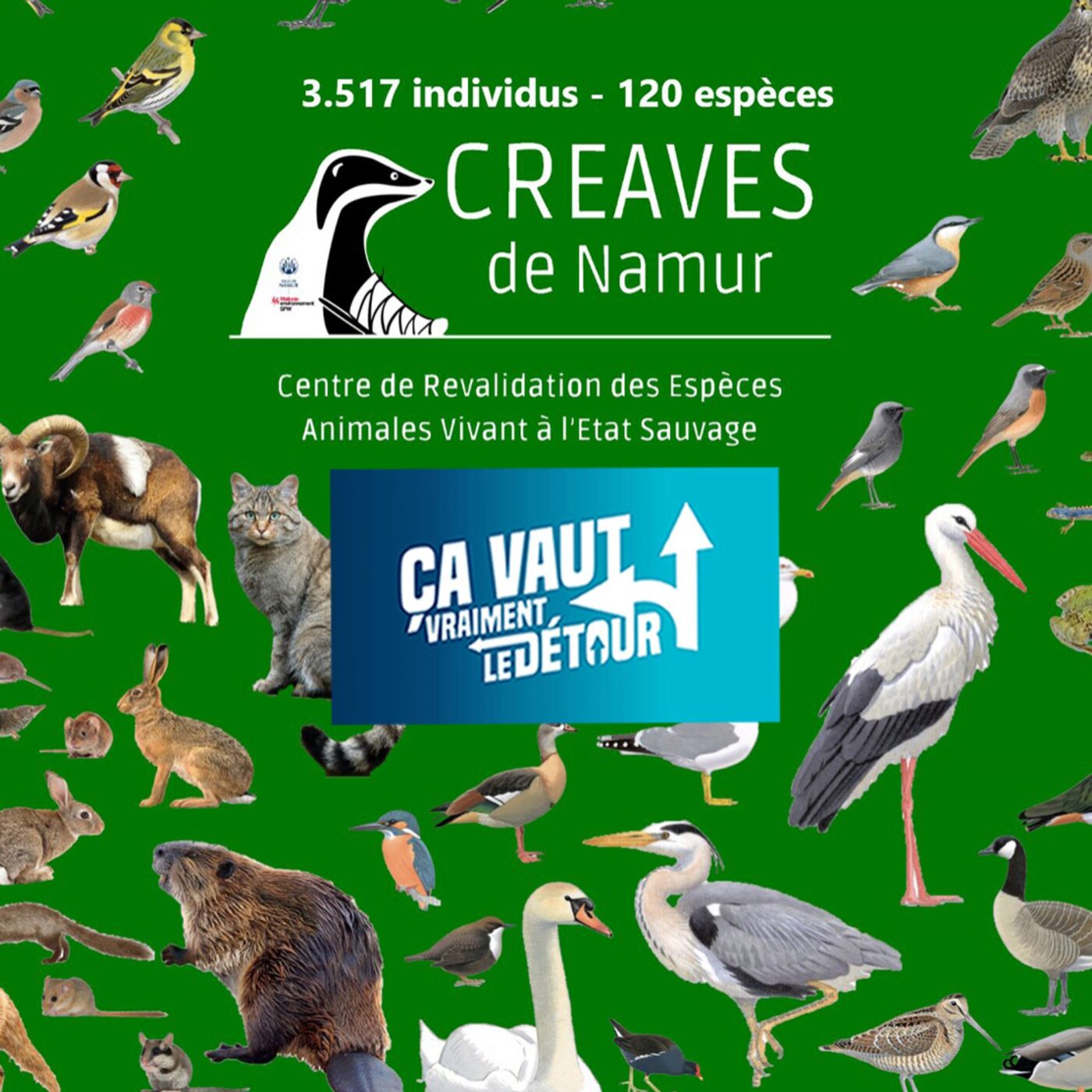 Floreffe vaut vraiment le Détour (5) : Meute, phoenix et centre de revalidation de la faune sauvage (CREAVES)