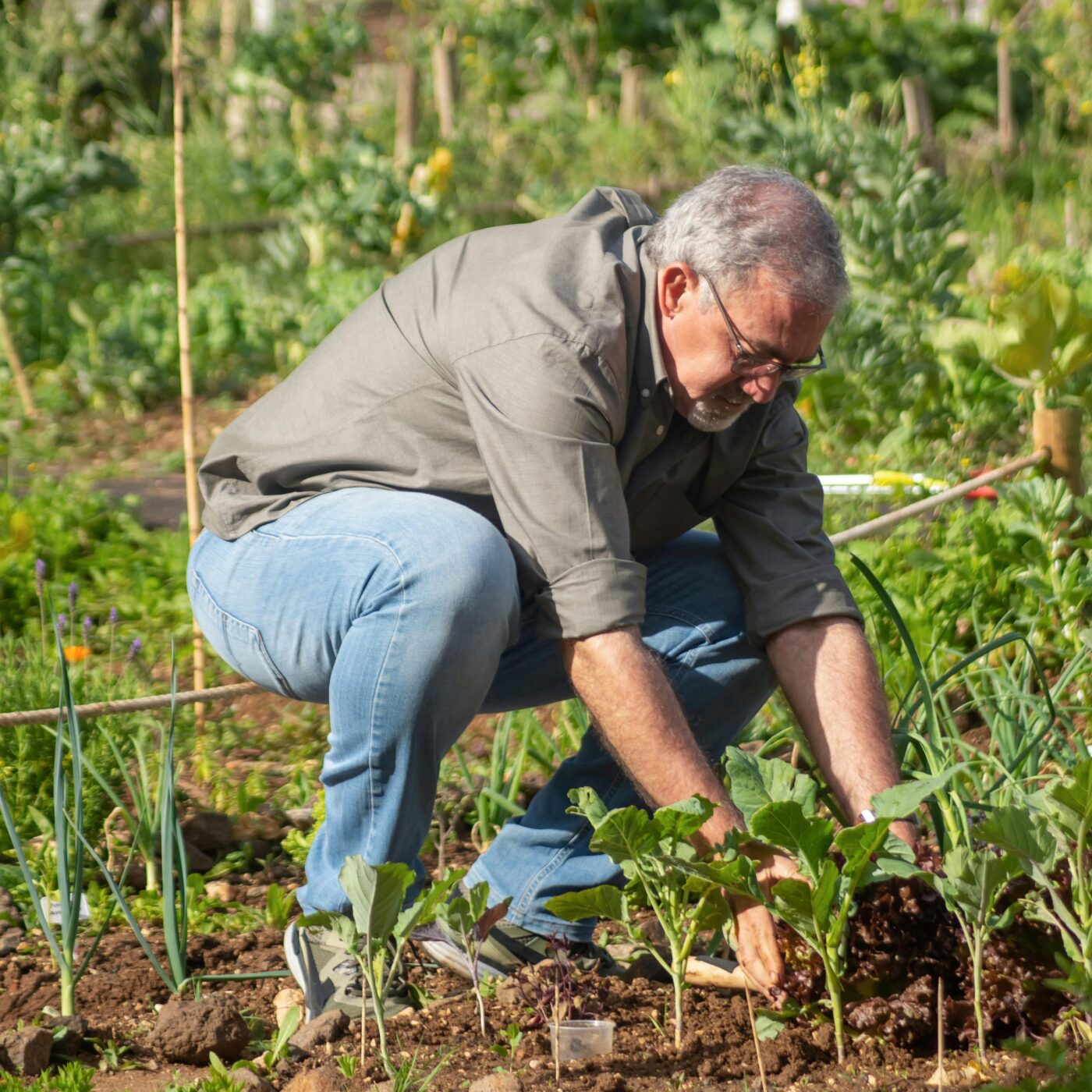 Prenez-en de la graine : des conseils jardinage écolos