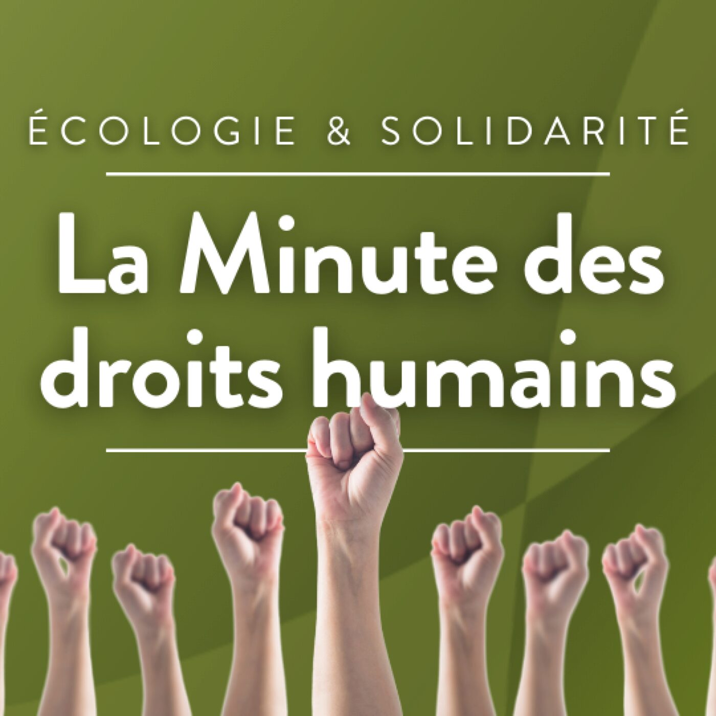 La chronique des droits humains