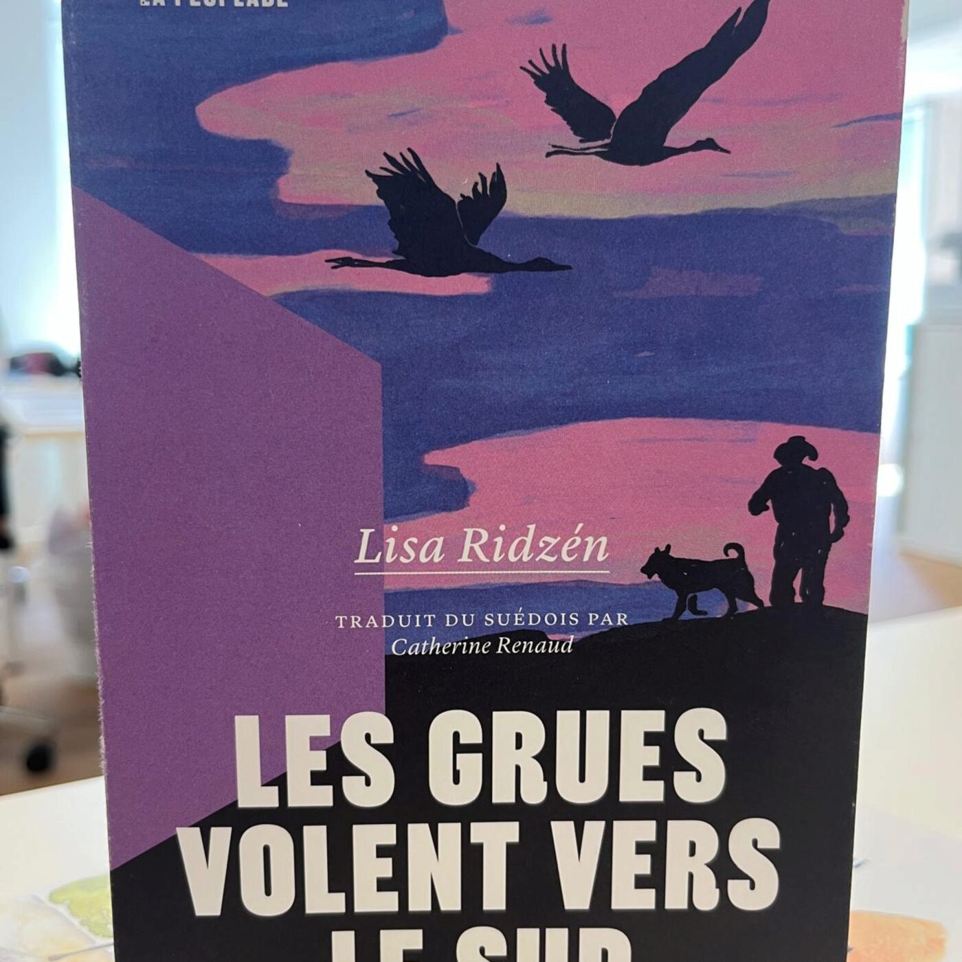 "Les grues volent vers le Sud" de Lisa Ridzén — Libraires à l'air libre cover