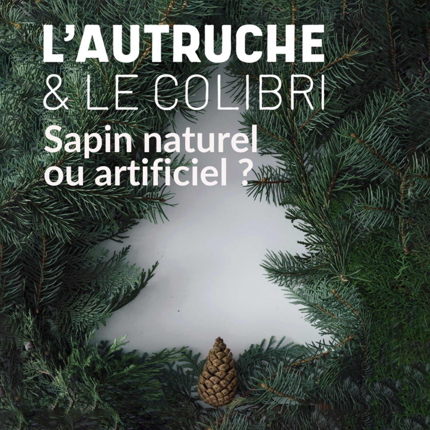 Noël écologique : sapin naturel ou artificiel ? 