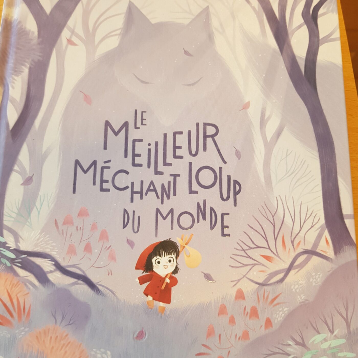 File dans ton livre !