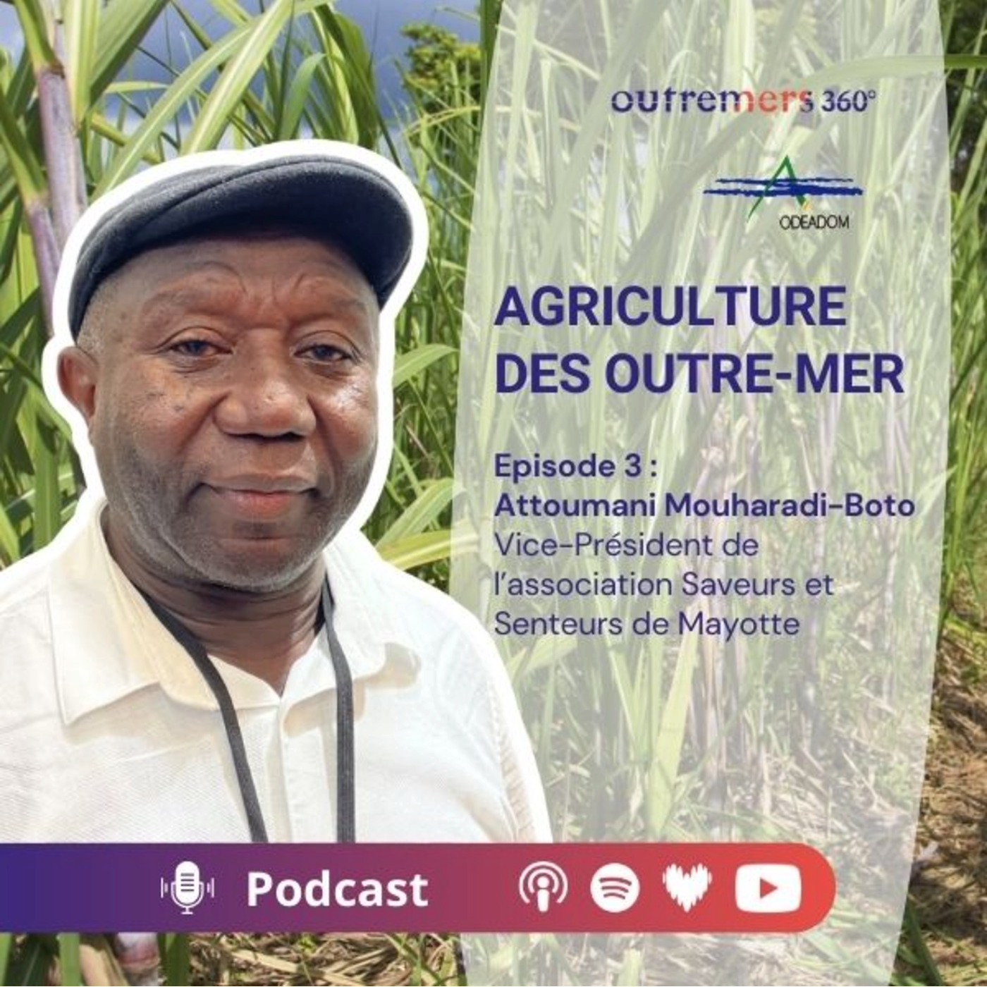 Episode 03_Attoumani Mouharadi-Boto - Président de l'Association Saveurs et Senteurs de Mayotte episode artwork