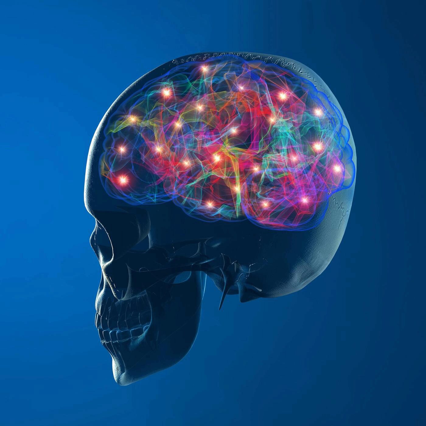 Echanges entre les neurones, des reconstitutions 3D, et des remèdes anciens