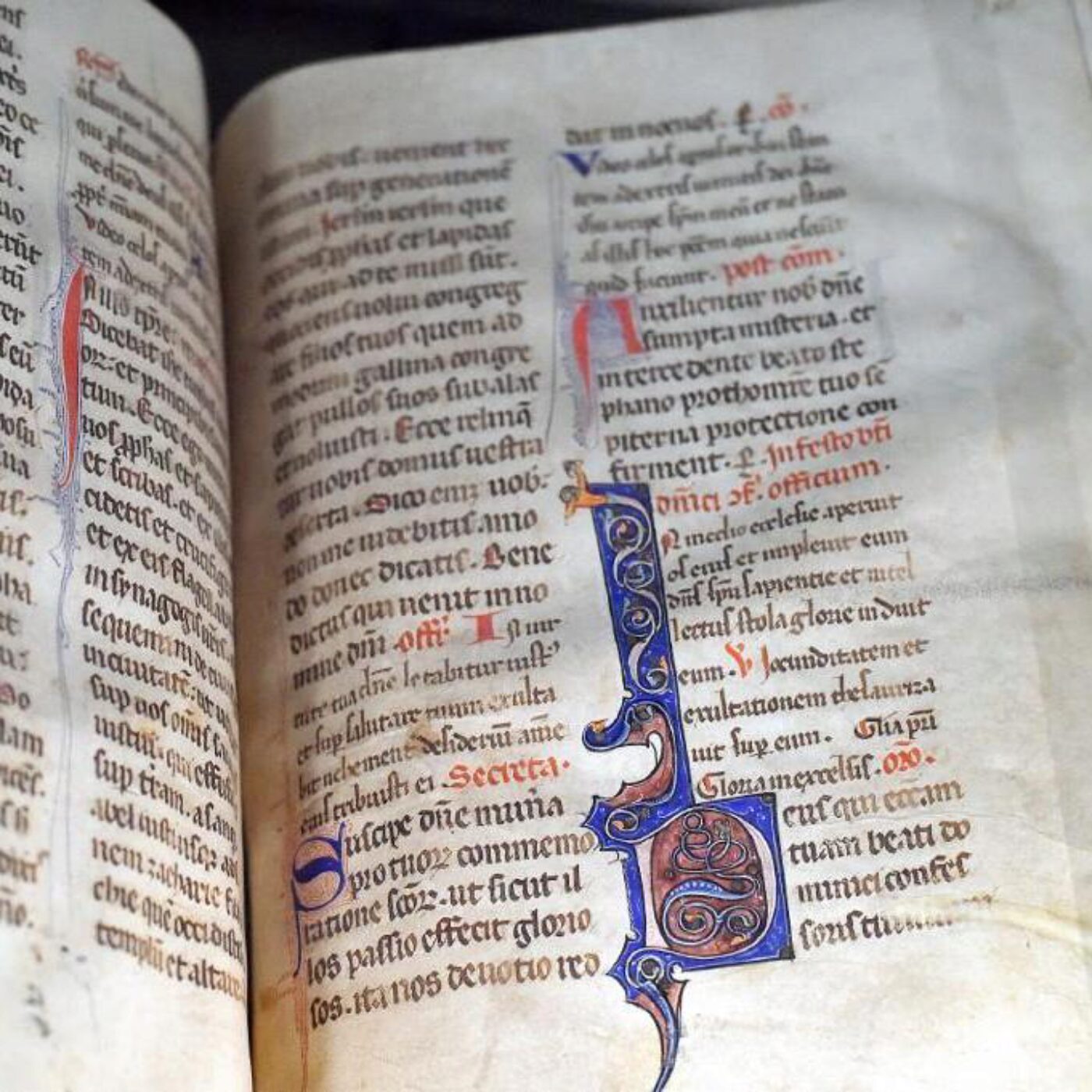 Des textes médiévaux révélés et les acouphènes