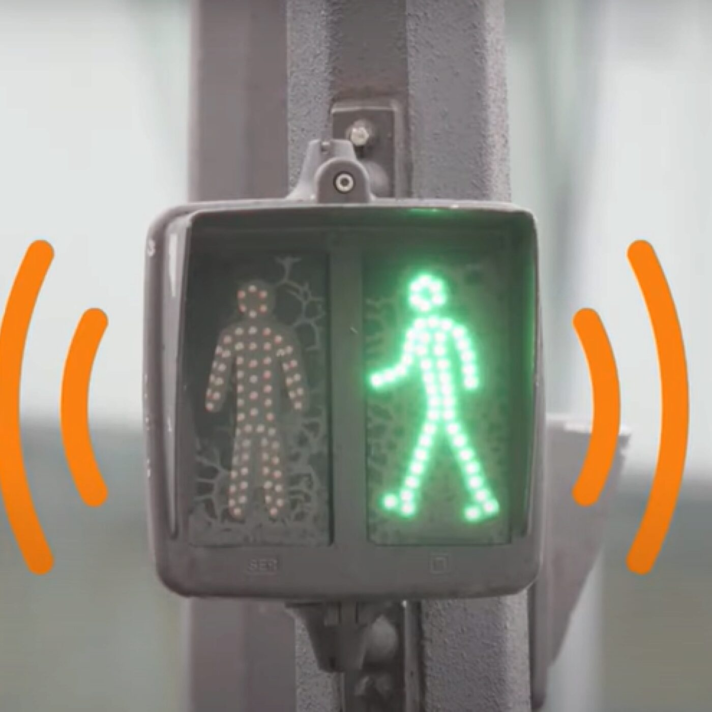 Hamou braille dans le poste