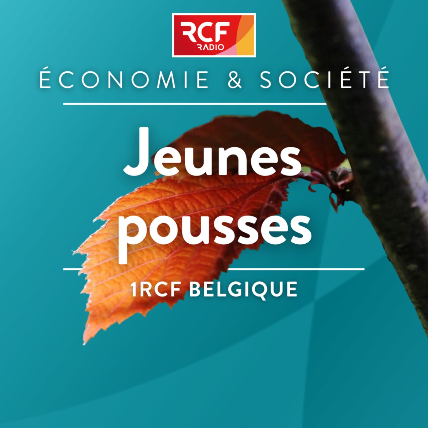 Jeunes pousses