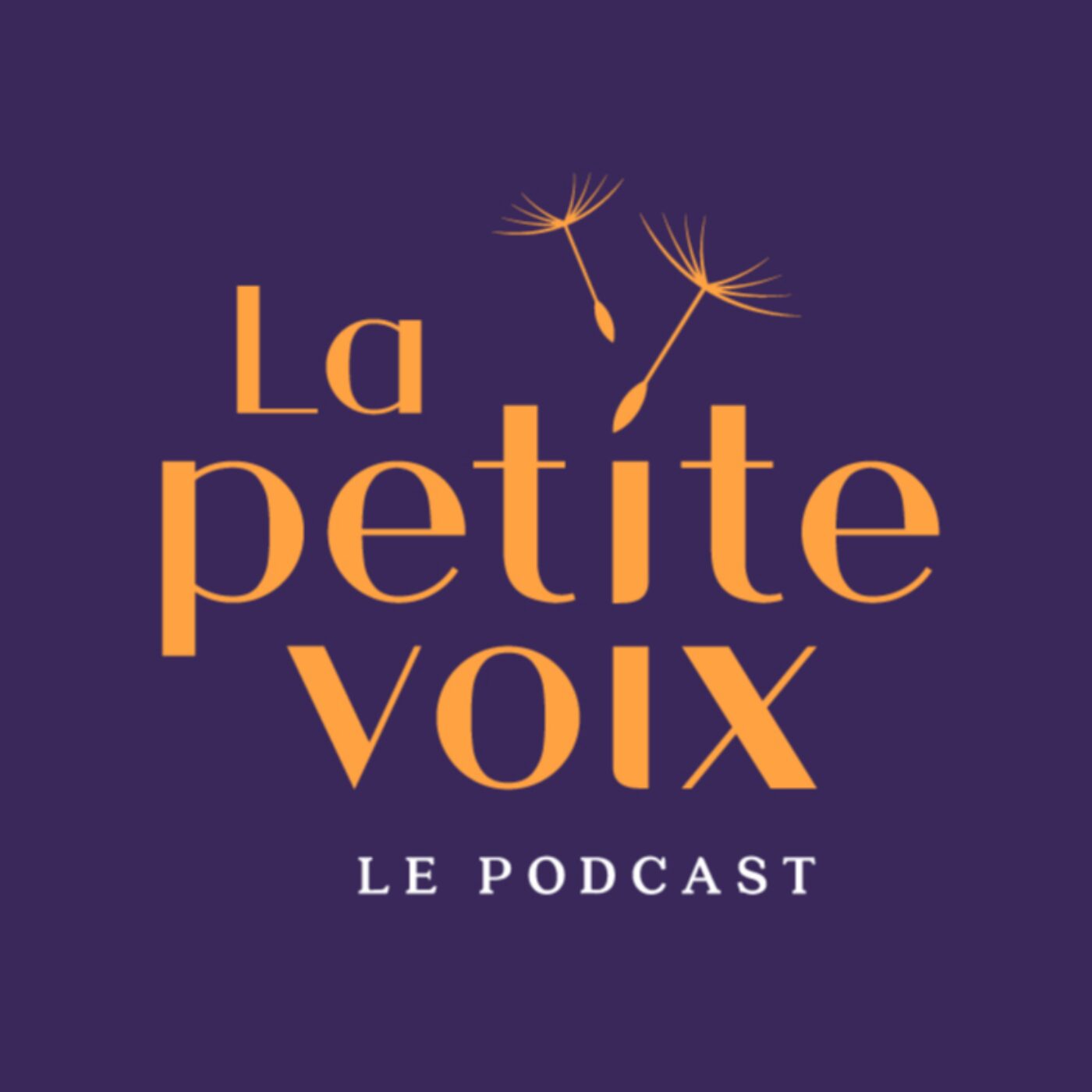 La petite voix Des histoires de vie qui pourraient changer la vôtre.