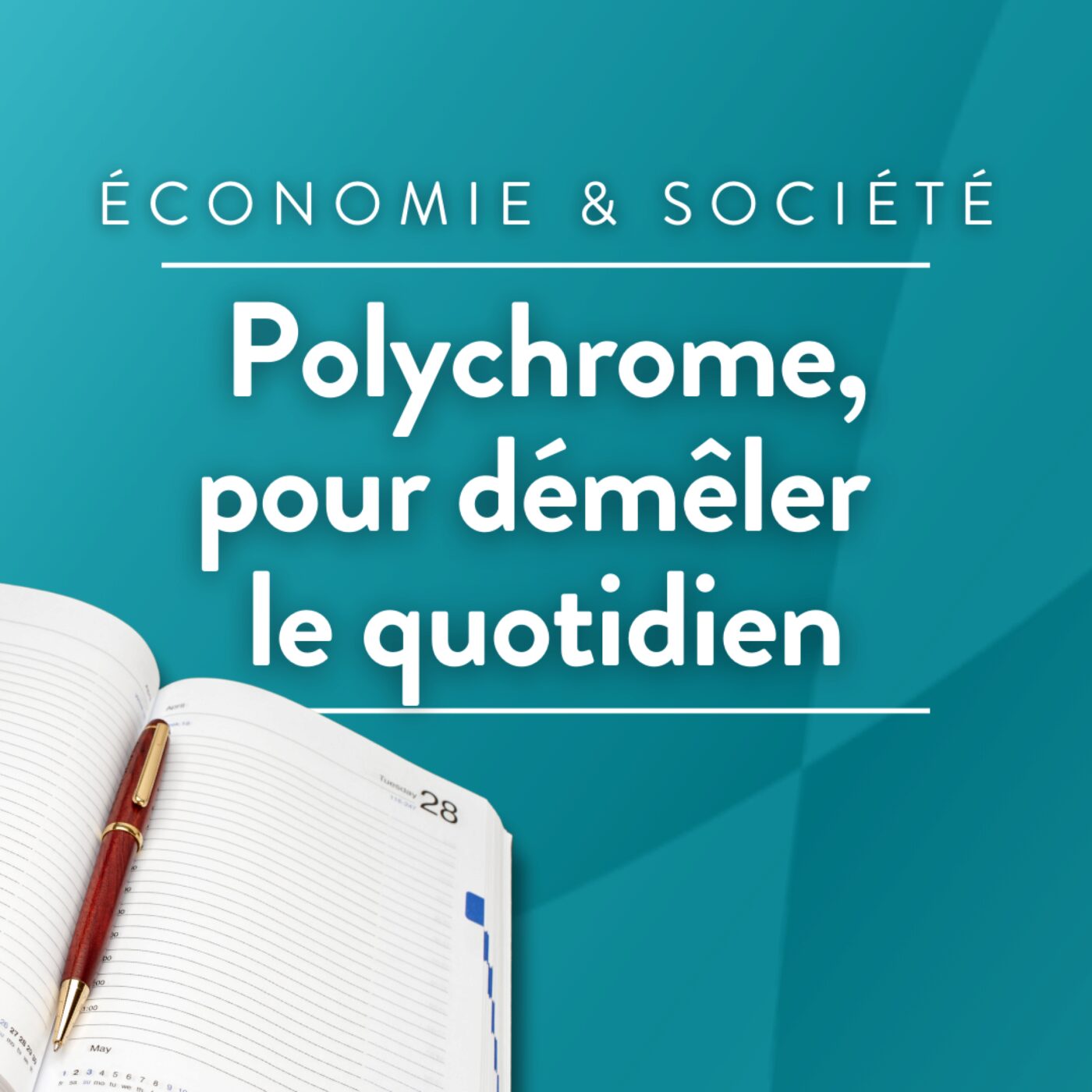 Polychrome, pour démêler le quotidien