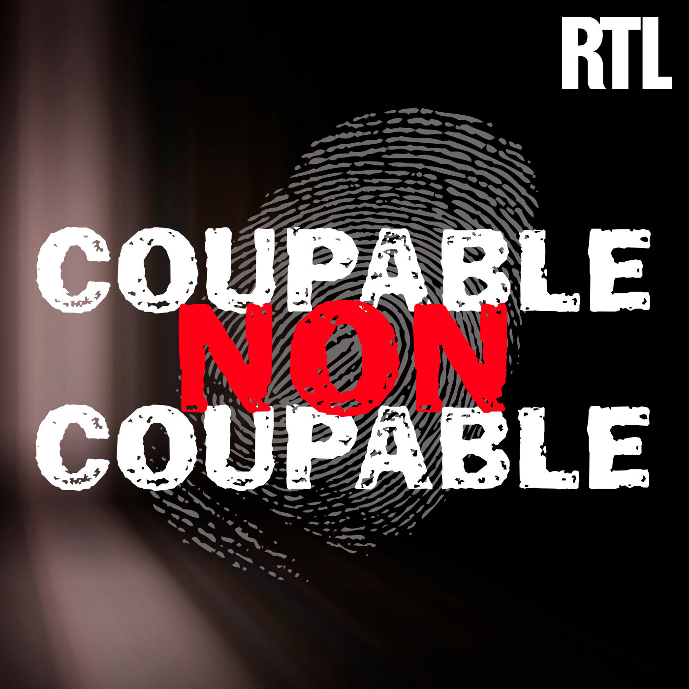 Coupable non coupable